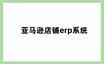 亚马逊店铺erp系统