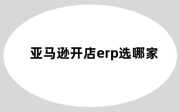亚马逊开店erp选哪家