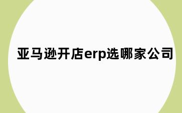亚马逊开店erp选哪家公司