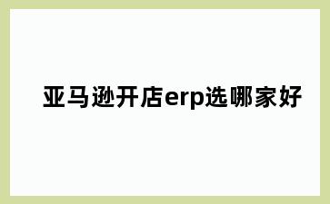 亚马逊开店erp选哪家好