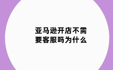 亚马逊开店不需要客服吗为什么