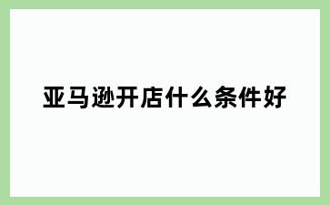 亚马逊开店什么条件好