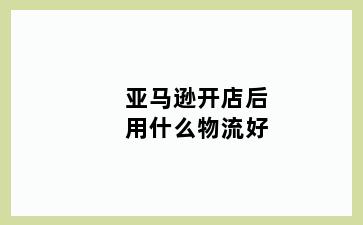 亚马逊开店后用什么物流好