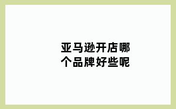 亚马逊开店哪个品牌好些呢