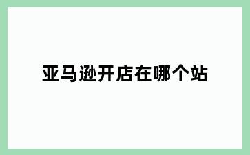 亚马逊开店在哪个站
