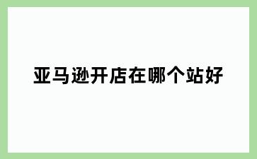亚马逊开店在哪个站好