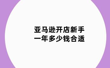 亚马逊开店新手一年多少钱合适