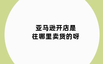 亚马逊开店是往哪里卖货的呀