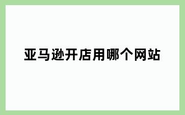 亚马逊开店用哪个网站