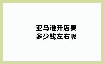 亚马逊开店要多少钱左右呢