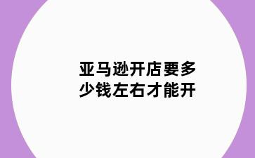 亚马逊开店要多少钱左右才能开