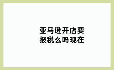 亚马逊开店要报税么吗现在