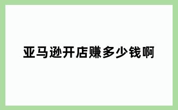 亚马逊开店赚多少钱啊