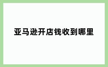亚马逊开店钱收到哪里
