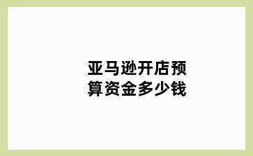 亚马逊开店预算资金多少钱