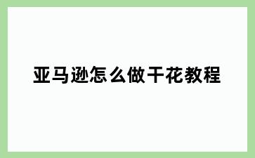 亚马逊怎么做干花教程