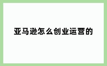 亚马逊怎么创业运营的