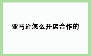 亚马逊怎么开店合作的