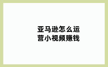 亚马逊怎么运营小视频赚钱