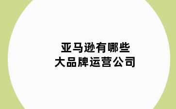 亚马逊有哪些大品牌运营公司