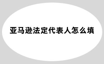 亚马逊法定代表人怎么填
