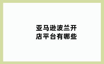 亚马逊波兰开店平台有哪些