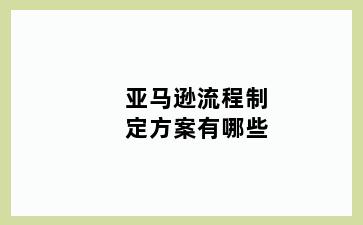 亚马逊流程制定方案有哪些