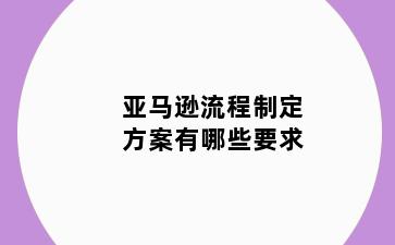 亚马逊流程制定方案有哪些要求