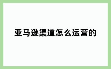 亚马逊渠道怎么运营的