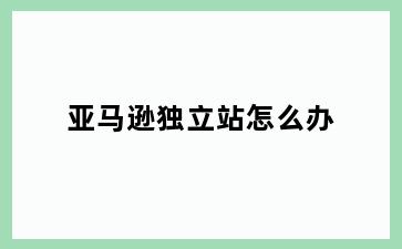 亚马逊独立站怎么办