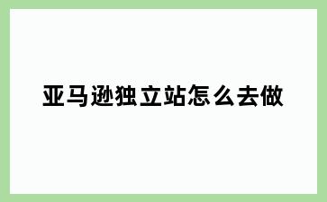 亚马逊独立站怎么去做