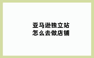 亚马逊独立站怎么去做店铺