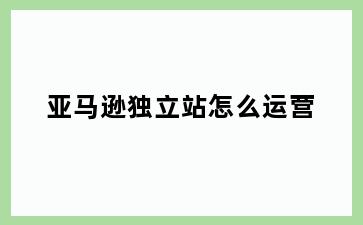亚马逊独立站怎么运营