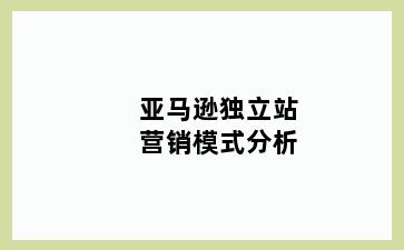 亚马逊独立站营销模式分析