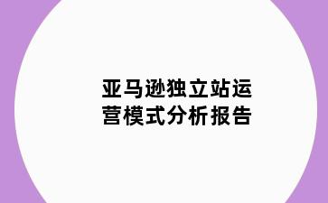 亚马逊独立站运营模式分析报告