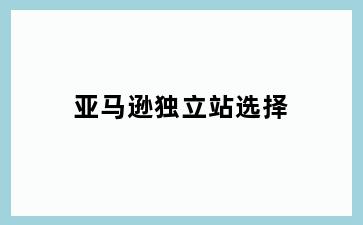 亚马逊独立站选择