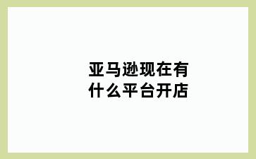 亚马逊现在有什么平台开店