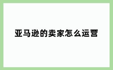 亚马逊的卖家怎么运营