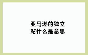 亚马逊的独立站什么是意思
