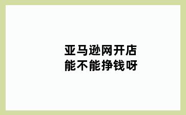 亚马逊网开店能不能挣钱呀