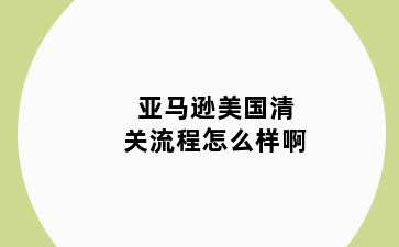 亚马逊美国清关流程怎么样啊