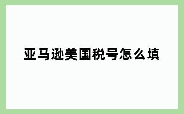 亚马逊美国税号怎么填