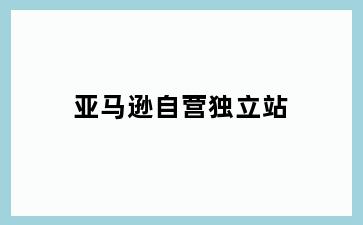 亚马逊自营独立站