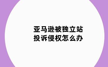 亚马逊被独立站投诉侵权怎么办