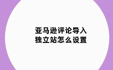 亚马逊评论导入独立站怎么设置
