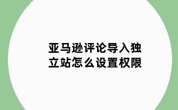 亚马逊评论导入独立站怎么设置权限