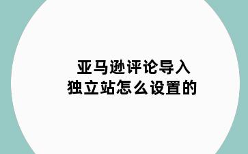 亚马逊评论导入独立站怎么设置的
