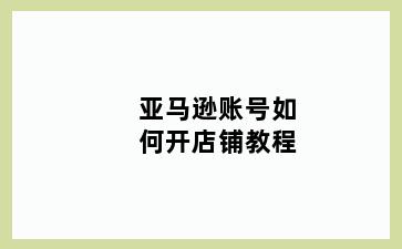 亚马逊账号如何开店铺教程