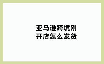 亚马逊跨境刚开店怎么发货