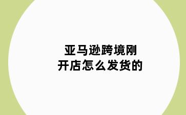 亚马逊跨境刚开店怎么发货的